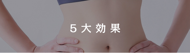 5大効果